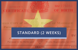 Vietnam Embassy Only - Standard